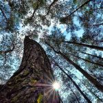 male stvari u životu